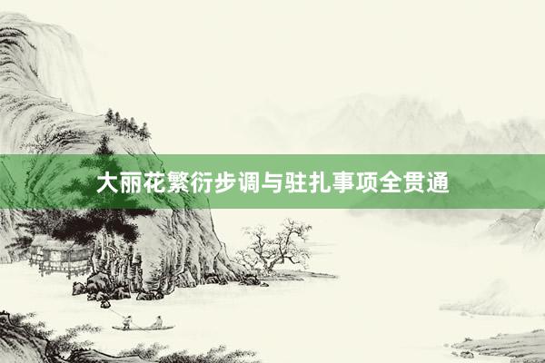 大丽花繁衍步调与驻扎事项全贯通
